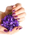 Hands of a woman with dark manicure on nails and bouquet of violets on a white background Royalty Free Stock Photo