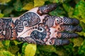 Hands of woman with detailed henna design art Royalty Free Stock Photo