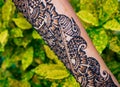 Hands of woman with detailed henna design art Royalty Free Stock Photo