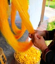 Hands of a woman drying yellow silk yarns after degumming from silk cocoon Royalty Free Stock Photo