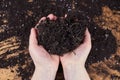 The hands of a woman farmer are holding a handful of earth