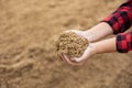 Hands of woman farmer holding pile of brewer& x27;s spent grain Royalty Free Stock Photo