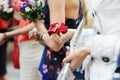 Hands of a woman full of rose petals Royalty Free Stock Photo