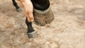 Hands Of A Woman Holding Broken Hoof Of A Black Horse - Damaged Horse Hoof