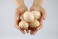 Hands of a woman holding fresh hen eggs Royalty Free Stock Photo