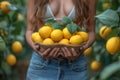 Hands of a woman holding lemons in the garden