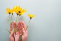 Hands of an woman holding yellow flowers on gray background Royalty Free Stock Photo