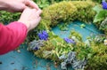 Hands of a woman making a spring wreath