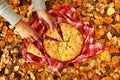 Hands of woman with pieces of apple pie on a red checkered towel and dry yellow autumn leaves.