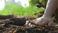 Hands of woman planting the seeds on earth ground and watered with nature ambient sound