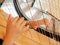 Hands of the woman playing a harp. Musical play on a stringed instrument.