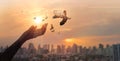 Hands of woman praying and free bird enjoying nature on city sunset background, hope concept Royalty Free Stock Photo