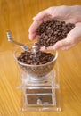 Hands of a woman putting coffe beans in grinder Royalty Free Stock Photo