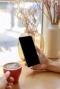 Hands of woman using mobile phone, cell phone in coffee shop. Hands of women holding blank empty screen smart phone in cafe. Women Royalty Free Stock Photo