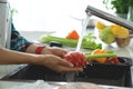 Hands woman washing vegetables. Preparation of fresh salad. Royalty Free Stock Photo
