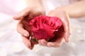 Hands women, rose bath nursing Royalty Free Stock Photo