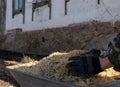 Hands in work gloves throw sawdust on a one wheeled cart