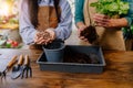 Hands-on work: transplanting plants in the store, attention to detail using a watering can, garden tools, fresh soil on