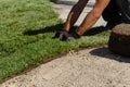 Hands of worker in gardening gloves laying sod. Applying green turf rolls, making new lawn in park Royalty Free Stock Photo