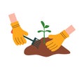 Hands in yellow gloves loosen the soil with small rakes, a bed with a sprout. Hand drawn vector illustration