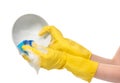 Hands in yellow gloves washing bowl with blue cleaning sponge Royalty Free Stock Photo