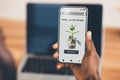 Hands of young black businessman hold smartphone with website, grow second income on screen, financial savings Royalty Free Stock Photo