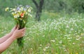 Hands of a young caucasian girl or woman hold out a wild flower bouquet Royalty Free Stock Photo