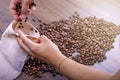 Hands of a young girl removing coffee beans from a sack. International coffee day concept. October 1st