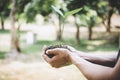 Hands of young man reforesting were planting the seedlings and tree growing into soil while working in the garden as save the