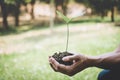 Hands of young man reforesting were planting the seedlings and tree growing into soil while working in the garden as save the