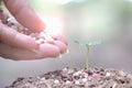 Hands of young man watering seedlings growing on top of the green leaf blurred background. Business Growth Concepts