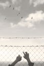 Hands of a young man who cling to the hope of freedom beyond a wire mesh Royalty Free Stock Photo