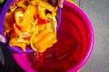Hands of a young woman empty sliced colorful slices of ripe bell pepper into a food bucket. View from above. Preparing a Royalty Free Stock Photo