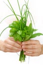 Hands of young woman holding fresh herbs, basil, chive, sage Royalty Free Stock Photo