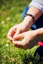 Hands of a young woman holding a small flower against the green grass background of a park. Royalty Free Stock Photo