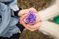 Hands of young woman and kid boy holding beautiful snowdrops. Top view on people`s hands with first spring flowers Royalty Free Stock Photo