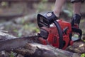 Hands of a young woodcutter Royalty Free Stock Photo