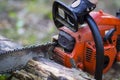 Hands of a young woodcutter Royalty Free Stock Photo