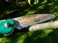 Handsaw Royalty Free Stock Photo