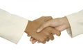 Handshake 1 Royalty Free Stock Photo