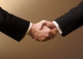 Handshake Royalty Free Stock Photo