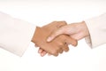 Handshake Royalty Free Stock Photo