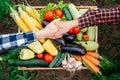 Handshake in the background wooden crate full of vegetables from organic garden. Harvesting homegrown produce. Top view Royalty Free Stock Photo