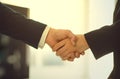 Handshake of businesspeople. Businesspeople hands makes a handshake in the office.