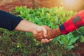 Handshake between farmer and customer, vegetable garden on blurred sunset background. Space for text