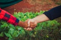 Handshake between farmer and customer, vegetable garden on blurred sunset background. Space for text