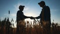 handshake farmer wheat. business partnership agriculture concept. silhouette two farmers shaking hands conclude a