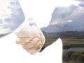 Handshake Royalty Free Stock Photo