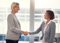 Handshake, hiring and welcome with people in office for job interview, recruitment and thank you. Meeting, hr and Royalty Free Stock Photo