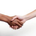 Handshake men and women. men and women shaking hands on white background